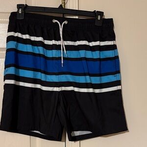 Men's Black and Blue Striped Swim Shorts